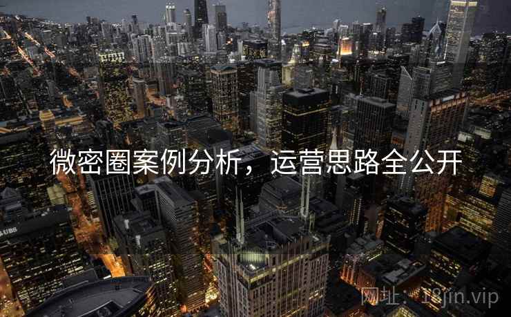 微密圈案例分析，运营思路全公开